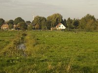 NL, Noord-Brabant, Waalwijk, De Dullaard 18, Saxifraga-Jan van der Straaten